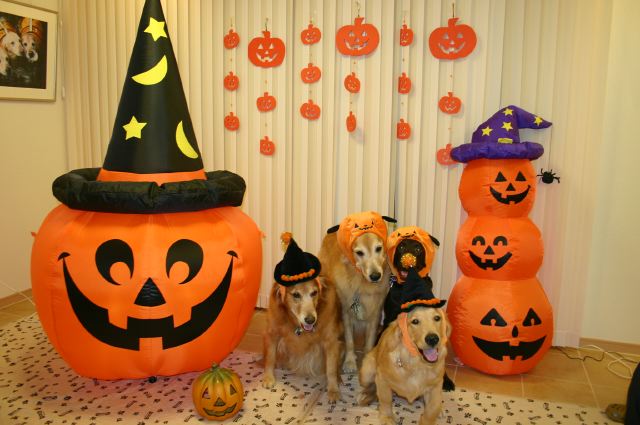 ファイル 62-2.jpg