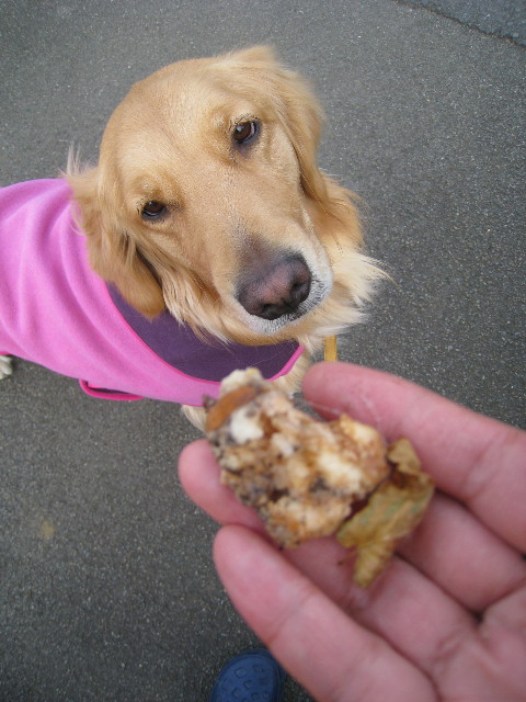 ファイル 620-3.jpg