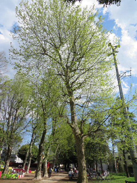 ファイル 6200-1.jpg