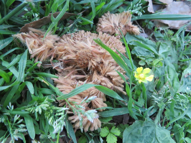 ファイル 6200-2.jpg