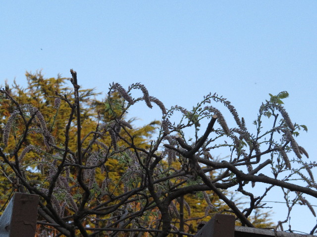 ファイル 6200-3.jpg