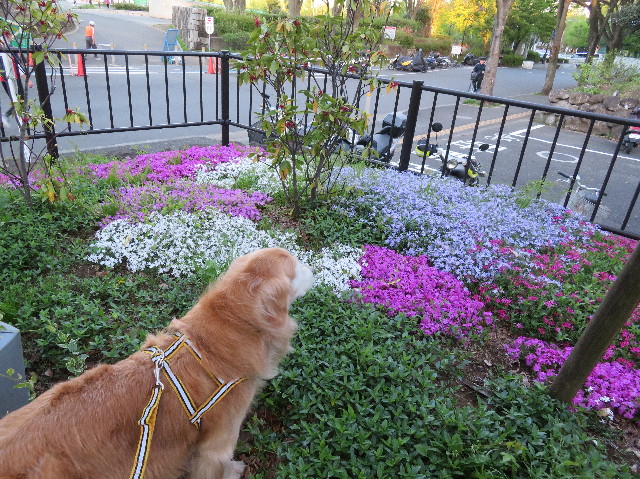 ファイル 6200-5.jpg