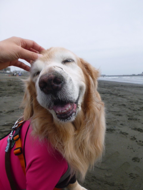 ファイル 6202-2.jpg