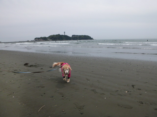 ファイル 6202-3.jpg