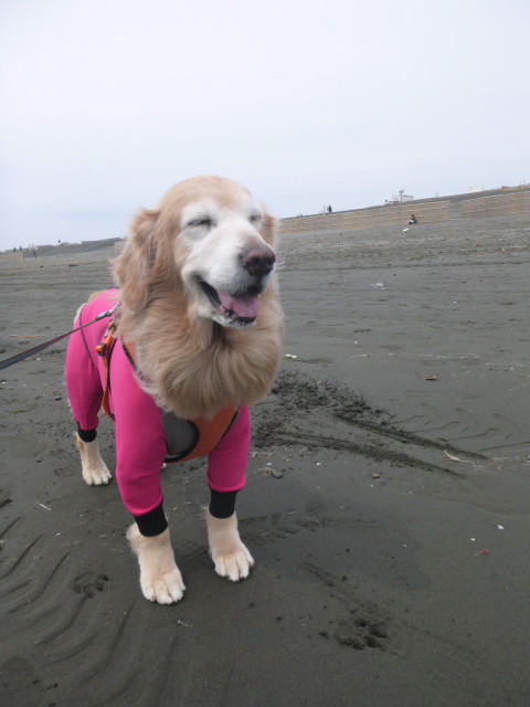 ファイル 6202-5.jpg