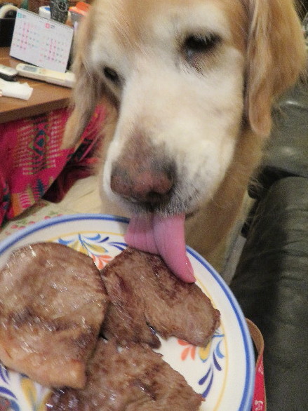 ファイル 6203-2.jpg