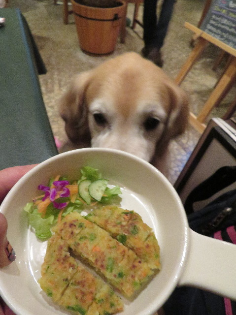 ファイル 6203-3.jpg