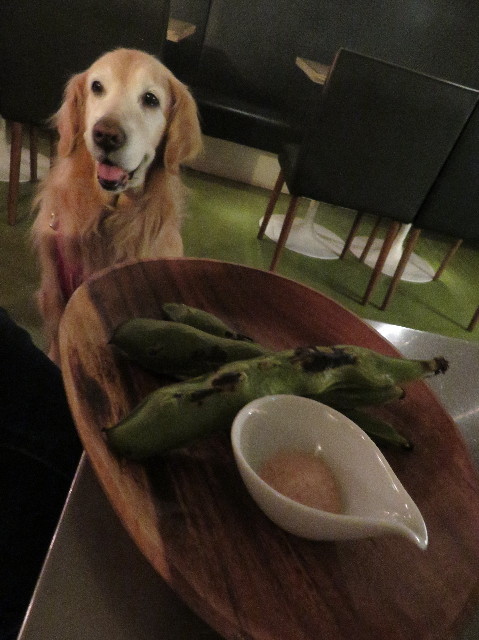 ファイル 6203-4.jpg