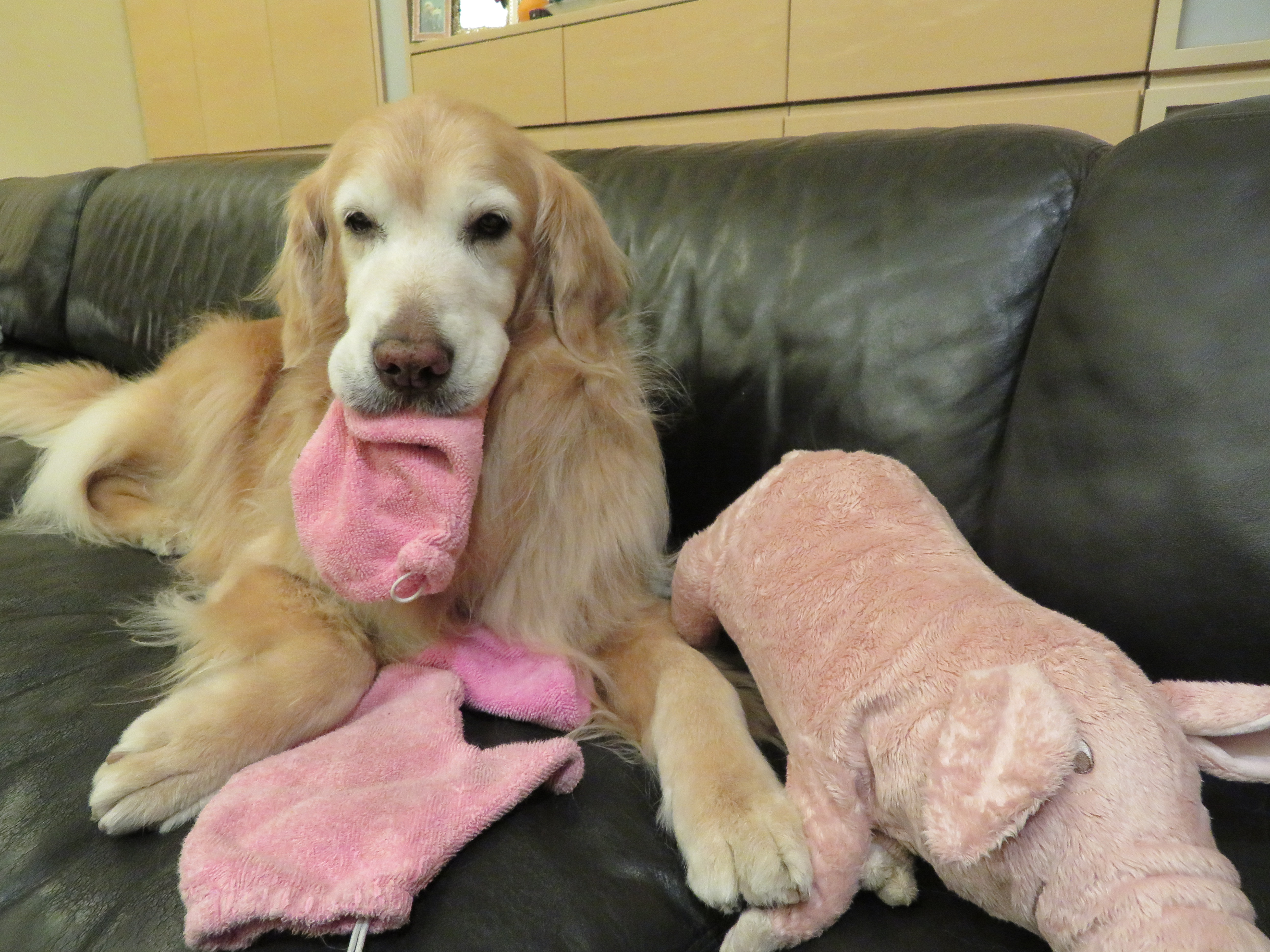 ファイル 6203-5.jpg