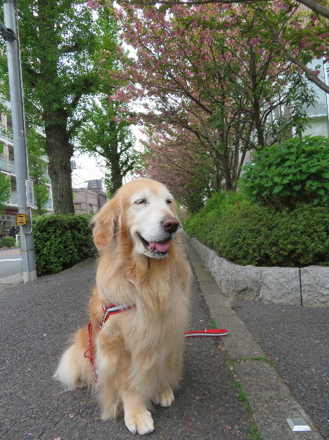 ファイル 6206-1.jpg