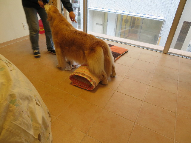 ファイル 6206-4.jpg