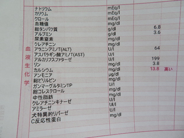 ファイル 6207-2.jpg