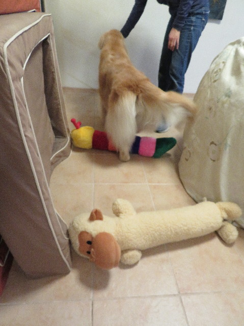 ファイル 6208-2.jpg