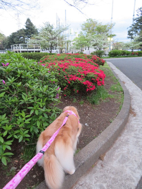 ファイル 6208-3.jpg