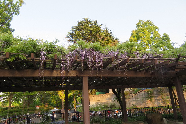 ファイル 6209-3.jpg