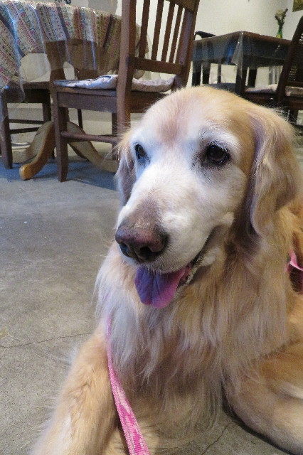 ファイル 6209-5.jpg