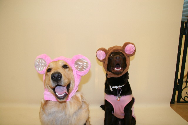 ファイル 621-3.jpg