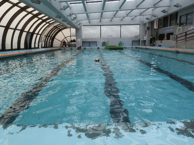 ファイル 6210-2.jpg