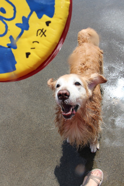 ファイル 6210-4.jpg