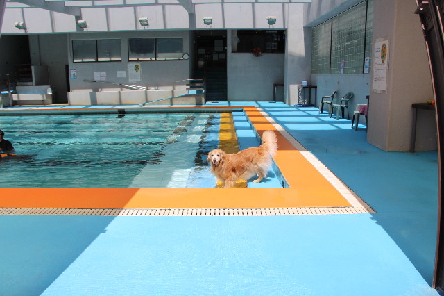 ファイル 6211-1.jpg