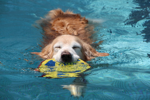 ファイル 6211-2.jpg