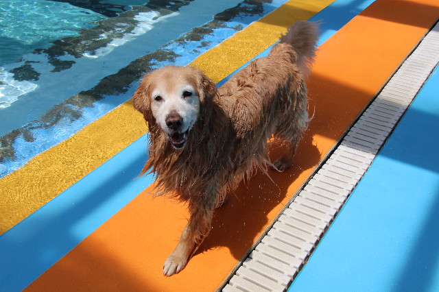 ファイル 6211-5.jpg