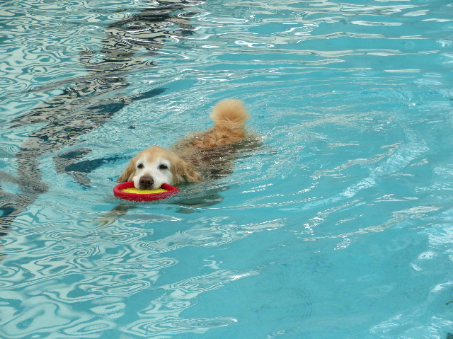 ファイル 6213-2.jpg