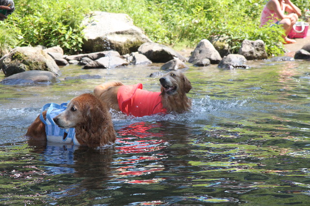 ファイル 6214-2.jpg