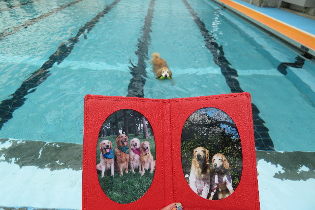 ファイル 6214-3.jpg