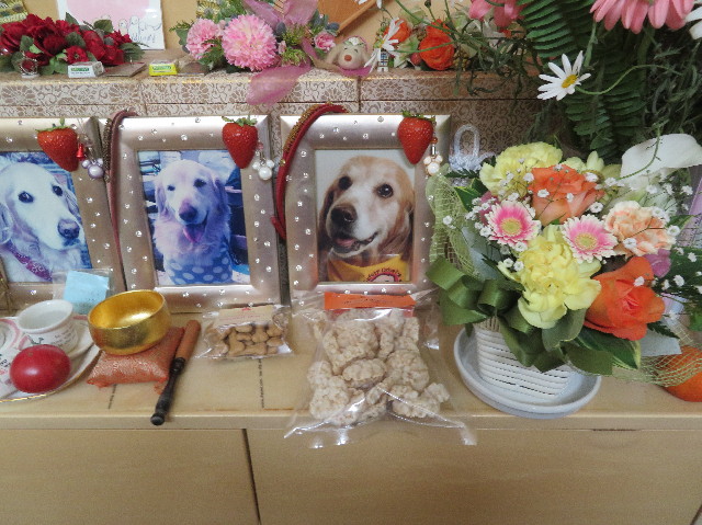 ファイル 6214-4.jpg