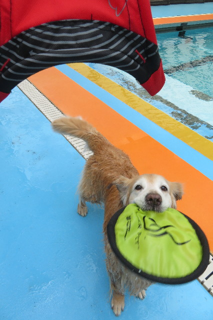 ファイル 6215-4.jpg