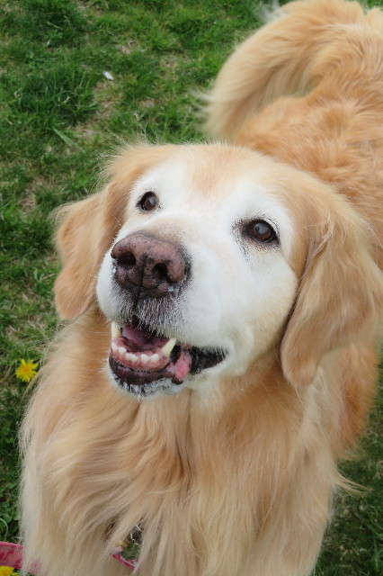 ファイル 6215-5.jpg