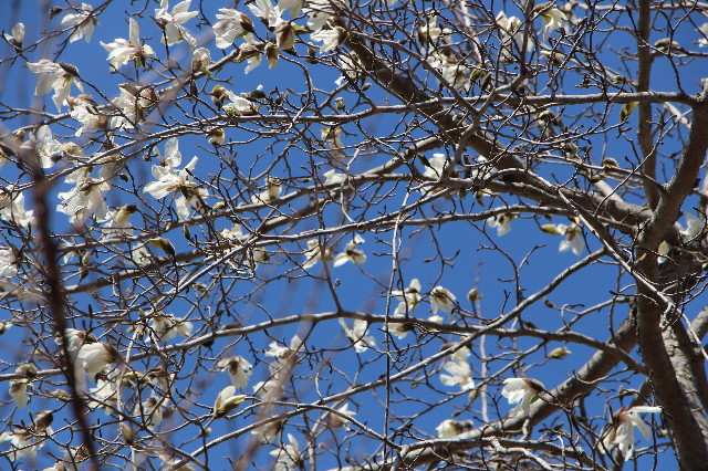 ファイル 6217-5.jpg