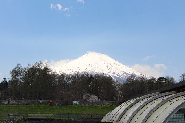 ファイル 6218-1.jpg