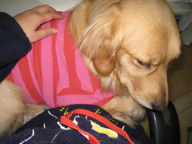 ファイル 622-1.jpg