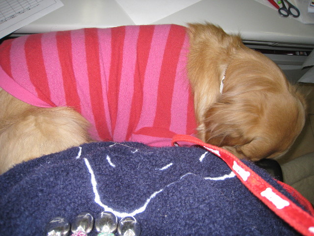 ファイル 622-2.jpg