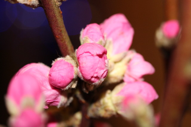 ファイル 622-5.jpg