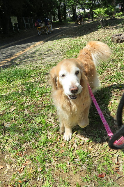 ファイル 6226-3.jpg