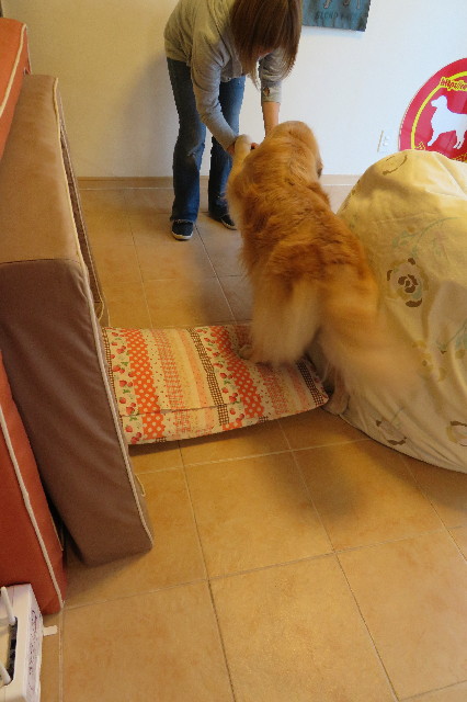 ファイル 6226-4.jpg