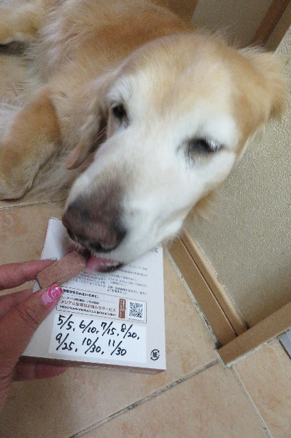 ファイル 6226-5.jpg