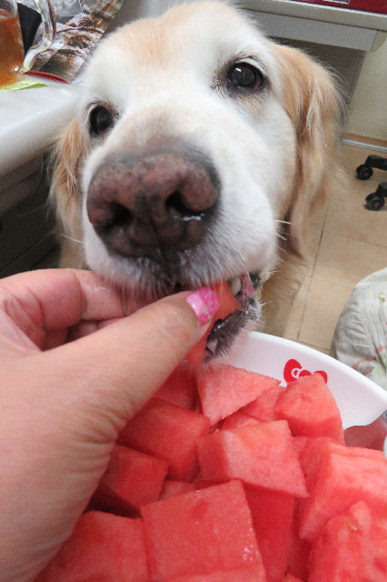 ファイル 6229-3.jpg