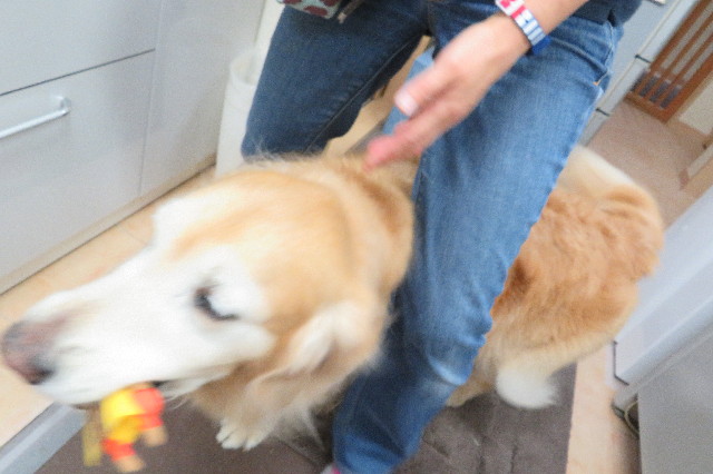 ファイル 6229-4.jpg