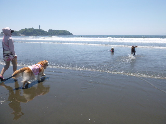 ファイル 6236-1.jpg