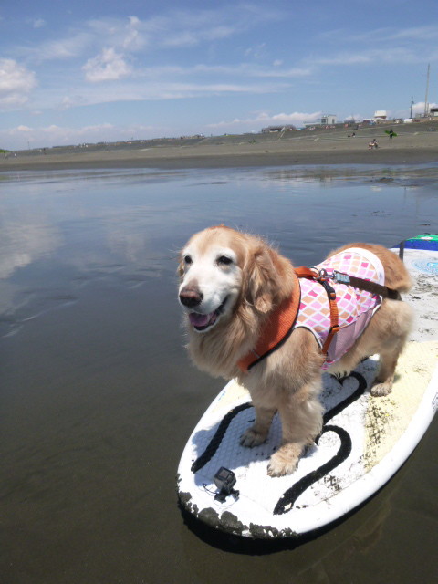 ファイル 6236-4.jpg