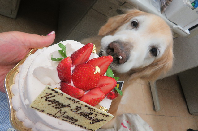 ファイル 6238-5.jpg