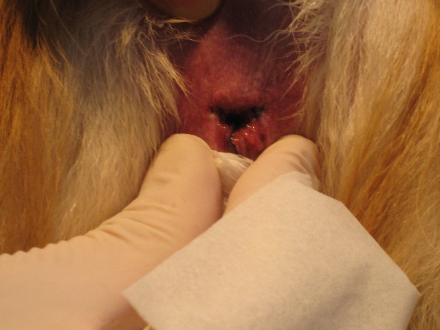 ファイル 624-4.jpg