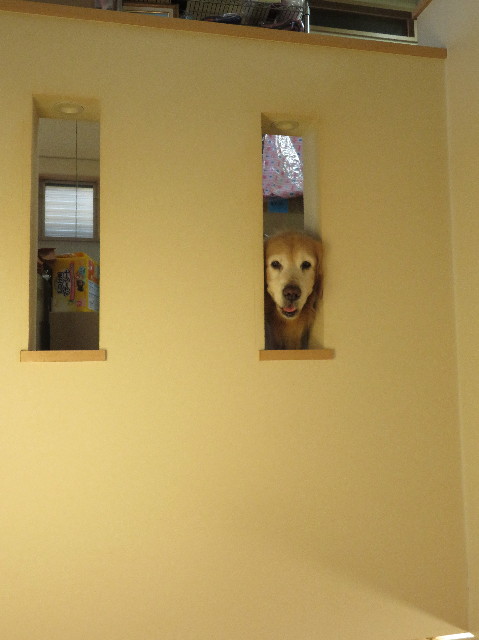 ファイル 6240-5.jpg