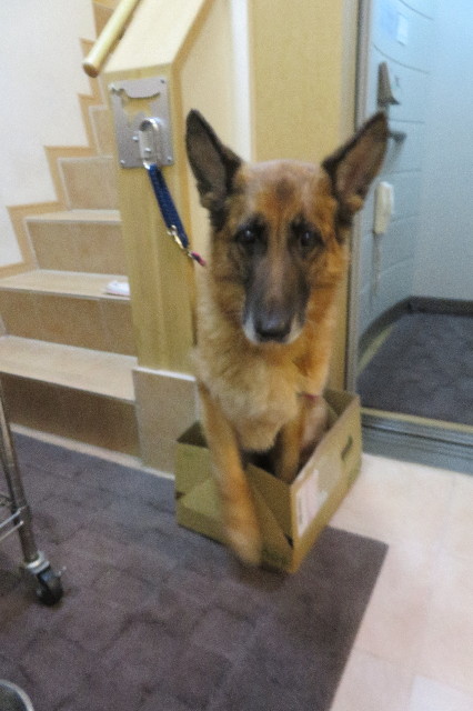 ファイル 6241-2.jpg