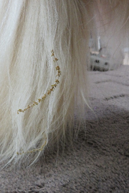 ファイル 6243-1.jpg