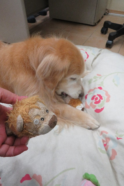 ファイル 6244-1.jpg